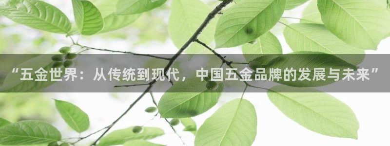 天宏娱乐开业晚宴