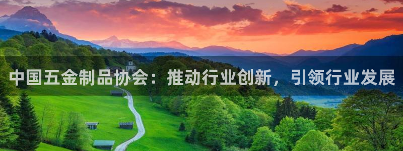 天宏娱乐徐叔