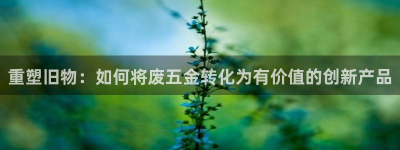 天宏娱乐旗下的网红