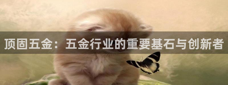 天宏娱乐 老板