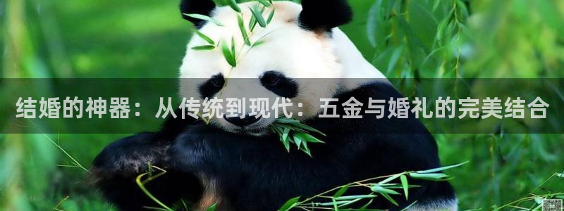 天宏娱乐a OO判官