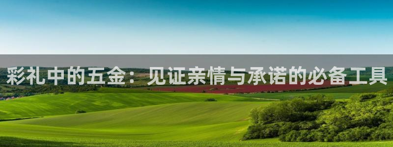 天宏娱乐魂师对决