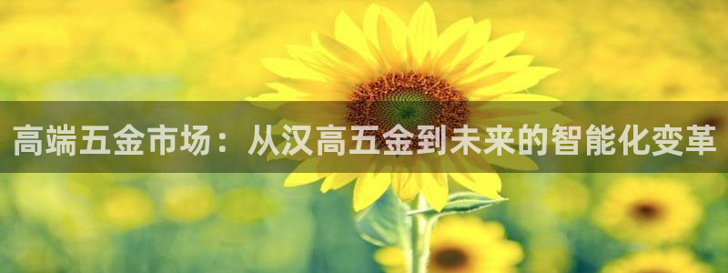 天宏娱乐有明星么