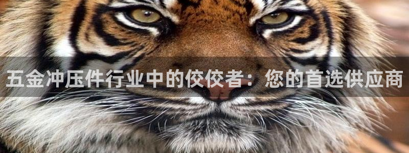 天宏娱乐曳59909