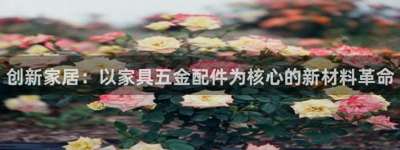 天宏娱乐龙叔