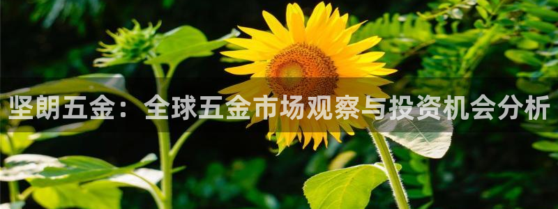 天宏娱乐关先生