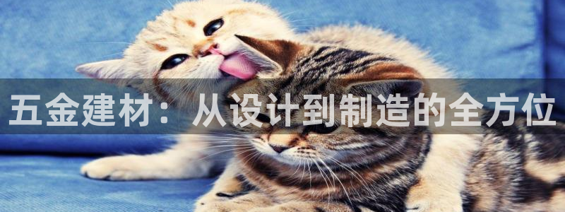 天宏娱乐在哪里