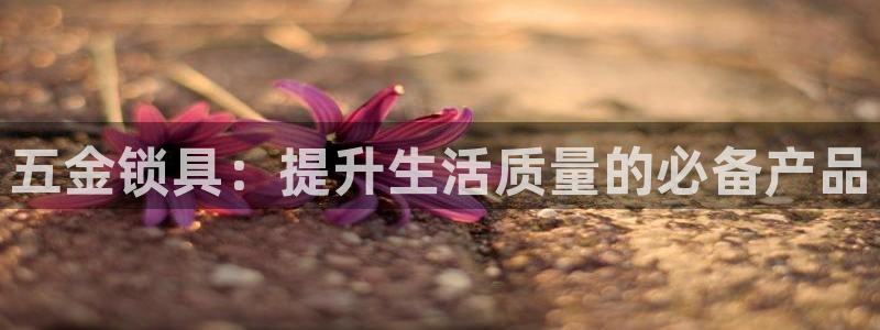 天宏娱乐创始人简介