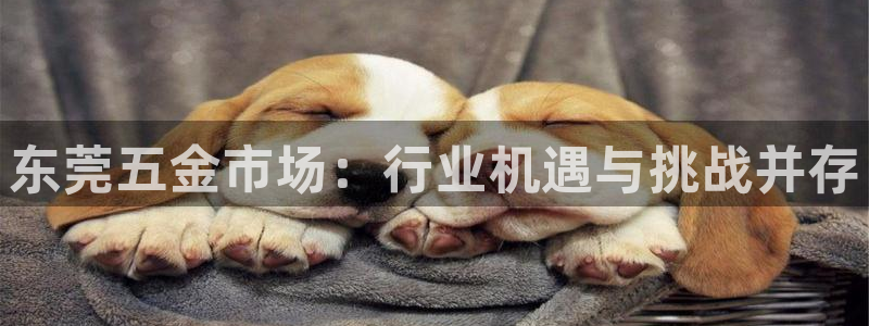 天宏娱乐小刘叔