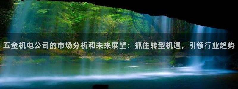 天宏娱乐是干嘛的公司