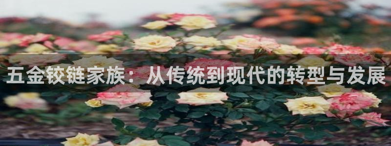 天宏娱乐传媒岳阳