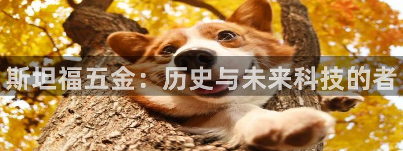 天宏娱乐是骗局吗