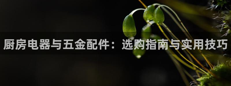 天宏娱乐晨叔