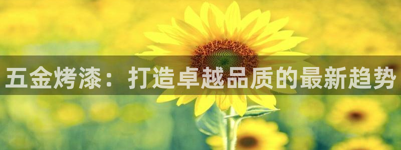 天宏娱乐实f力803466