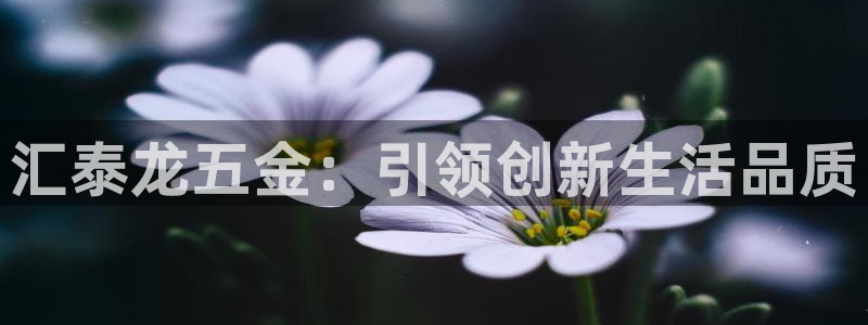 天宏娱乐男神