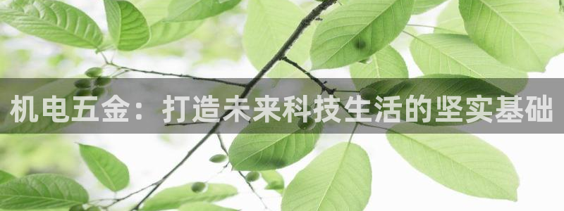 天宏娱乐主管
