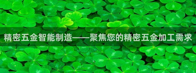 天宏娱乐有明星么