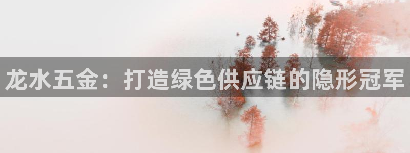 天宏娱乐运营29229