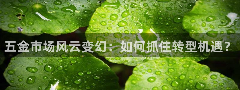 天宏娱乐有限公司