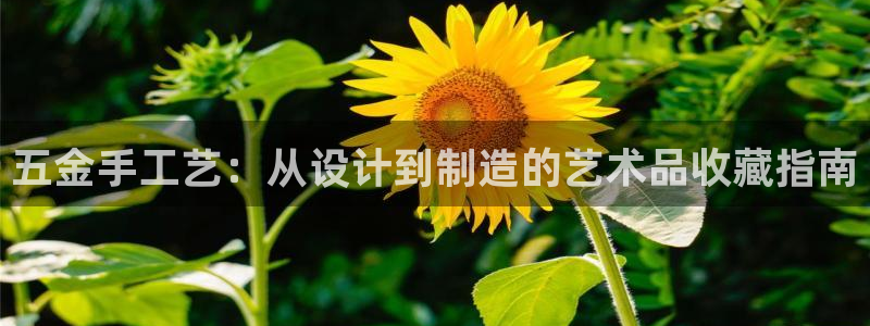 天宏娱乐主管待遇