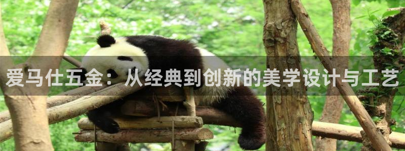 天亿娱乐宏发团队招聘