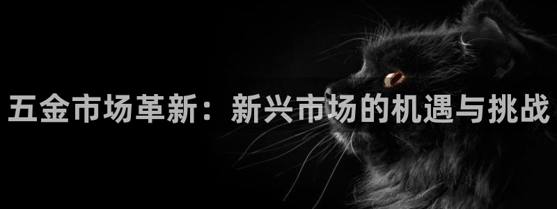 天宏娱乐何33300