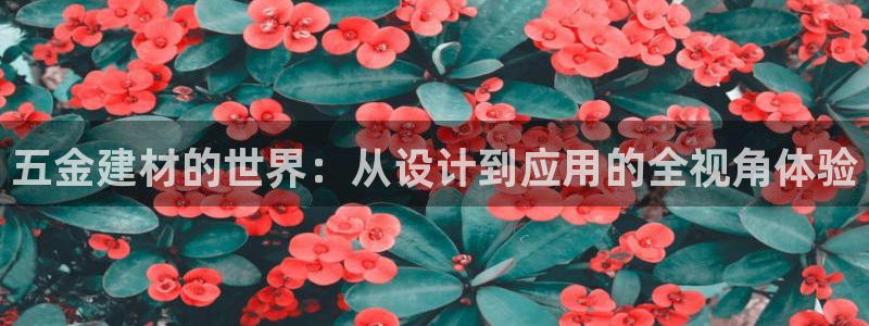 天跃娱乐天宏娱乐