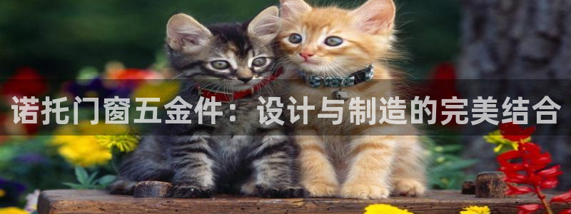 天宏娱乐是不是正规平台