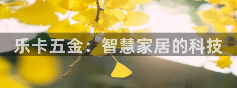 天宏娱乐指尖会